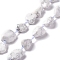 Natural Howlite Beads Strands, Nuggets, 16~36.8x13~28.5x8~21mm, Hole: 2~3.8mm, about 13pcs/strand, 16.26~17.52''(41.3~44.5cm)