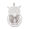 Brass Rhinestone Pendants, Filigree Charms, Platinum, Owl, 38x51x6mm, Hole: 6x3mm