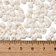 Выпечка краска стеклянные бусины SEED-F006-01A-15-4