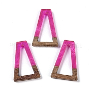 Подвески из смолы и дерева WOOD-F015-10C