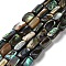 Natural Paua Shell Beads Strands, Rectangle, 10~11x5.5~6x3~4mm, Hole: 0.8mm, about 40pcs/strand, 15.79''(40.1cm)