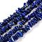 Natural Lapis Lazuli Beads Strands, Grade A, Chip, Royal Blue, 3~5x7~13x2~4mm, Hole: 0.4mm, 80~81cm