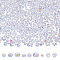 arricraft About 828 Pcs Electroplated Glass Beads, Transparent Ab Color Plated Assorted Crystal Beads Faceted Bicone Loose Beads for DIY Jewelry Crafts Making, 4mm 6mm 8mm