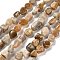 Natural Fossil Coral Beads Strands, Nuggets, Tumbled Stone, 7~13x4.5~10x4.5~10mm, Hole: 1.2mm, about 44~46pcs/strand, 15.08''~16.14''(38.3~41cm)