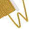 10 Yards Flat Polyester Metallic Braided Cord, Clothes Accessories, Goldenrod, 1/4 inch(4.5~5mm), about 10.94 Yards(10m)/Card