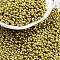 Baking Paint Glass Seed Beads, Peanut, Dark Khaki, 2~2.5x4x2mm, Hole: 0.8mm, about 15000pcs/pound