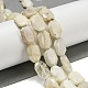 Бусины из натурального радужного лунного камня G-P544-B05-01-1
