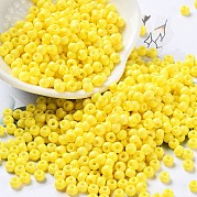Выпечка краска стеклянные бусины SEED-H002-I-A502