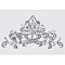Rhinestone & Plastic Beaded Appliques, with Brass Finding, Sew on Ornament Accessories, Clear AB, 120x215x6mm