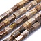 Natural Petrified Wood Beads Strands, Hexagonal Prism, 11.5~15x9~12mm, Hole: 0.8mm, about 27~28pcs/strand, 15.1 inch~15.5 inch(38.5~39.5cm)