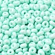 Выпечка краска стеклянные бусины SEED-B001-02A-14-3