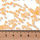 Бисер из стекла  SEED-S042-13A-05-4