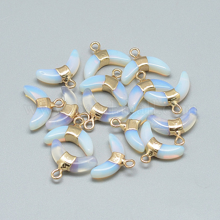 Opalite подвески G-Q494-40D-1