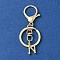 Alloy Initial Letter Charm Keychains, with Alloy Clasp, Golden, Letter N, 8.5cm