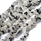 Natural Tourmalinated Quartz/Black Rutilated Quartz Beads Strands, Chip, 5~8mm, Hole: 1mm, about 33 inch(84cm)