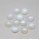 Opalite кабошоны G-R416-16mm-49-1