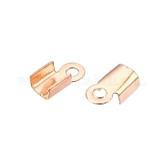 Железом мозг конец IFIN-T021-01KCG