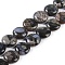 Natural Glaucophane Beads Strands, Flat Round, 13.5x5mm, Hole: 1mm, about 29pcs/strand, 15.47 inch(39.3cm)