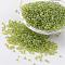 Round Glass Seed Beads, Trans. Colours Lustered, Yellow Green, Size: about 2mm in diameter, hole: 1mm, about 3306pcs/50g