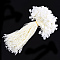 Polyester Cord with Seal Tag, Plastic Hang Tag Fasteners, Creamy White, 185~195x1mm, about 850pcs/bag