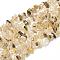 Natural Rutilated Quartz Beads Strands, Chip, 5.5~18x3~6x1.5~7mm, Hole: 1mm, 80~81cm