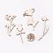 Wood Cabochons, Laser Cut Wood Shapes, Flower, PapayaWhip, 24~81x24~42x2.5mm