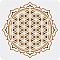 Plastic Reusable Drawing Painting Stencils Templates, for Painting on Scrapbook Paper Wall Fabric Floor Furniture Wood, Square, Flower of Life Pattern, 300x300mm