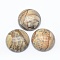 Natural Picture Jasper Cabochons, Flat Round, 24.5~25x4~7mm