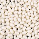 Выпечка краска стеклянные бусины SEED-T007-15A-2