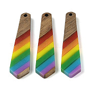 Подвески Pride на тему радуги из смолы и орехового дерева WOOD-K012-12C