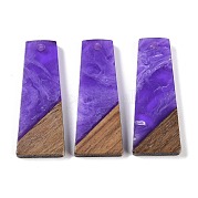 Подвески из смолы и дерева WOOD-F015-04A