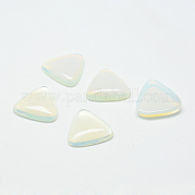 Opalite кабошоны G-T025-10x10mm-07