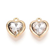 Подвески сплава Rhinestone PALLOY-T092-23G-01