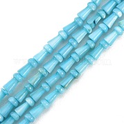 Нити бусин из натуральных пресноводных ракушек SHEL-G013-02C