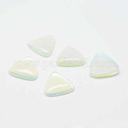 Opalite кабошоны G-T025-10x10mm-07-1