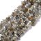 Natural Labradorite Chip Beads Strands, 5~19.5x3~8.5x1.5~7.5mm, Hole: 1mm, about 221~293pcs/strand, 80~81cm