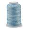 6-Ply Polyester Cord, for Jewelry Making, Colorful, 0.5mm, about 251.53 Yards(230m)/Roll