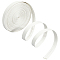 5M Folding PU Leather Flat Cord, White, 10x1mm, about 5.47 Yards(5m)/Bundle