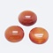 Natural Carnelian Cabochons, Dyed & Heated, Half Round, 24.5x7~8mm