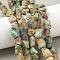 Raw Rough Natural HuBei Turquoise Beads Strands, Nuggets, 6~24x7~16x4~10mm, Hole: 1mm, about 25~38pcs/strand, 15.35~15.94''(39~40.5cm)