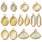 14Pcs 7 Styles Resin Imitation Opal Pendants, Alloy Geometric Charms, Lawn Green, Golden, Mixed Shapes, 17.8~26.3x9.2~19x4.8~6mm, Hole: 1.5~2mm, 2pcs/style