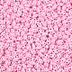 Выпечка краска стеклянные бусины SEED-T006-03M-2
