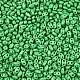 Выпечка краска стеклянные бусины SEED-T006-03F-2