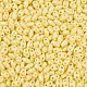 Выпечка краска стеклянные бусины SEED-T006-03B-2