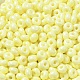 Выпечка краска стеклянные бусины SEED-B001-02A-13-3