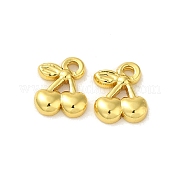 Подвески из нержавеющей стали 304 STAS-Q322-25G