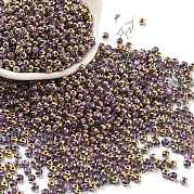 Внутри цвета стеклянные бусины SEED-A032-03C