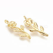 Латунные подвески KK-T020-117G