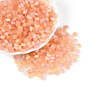 Стеклянные бусины SEED-N007-32C