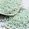 Macaron Color Opaque Frosted Glass Seed Beads, Peanut, Honeydew, 6x3x3mm, Hole: 1.2mm, about 88pcs/10g